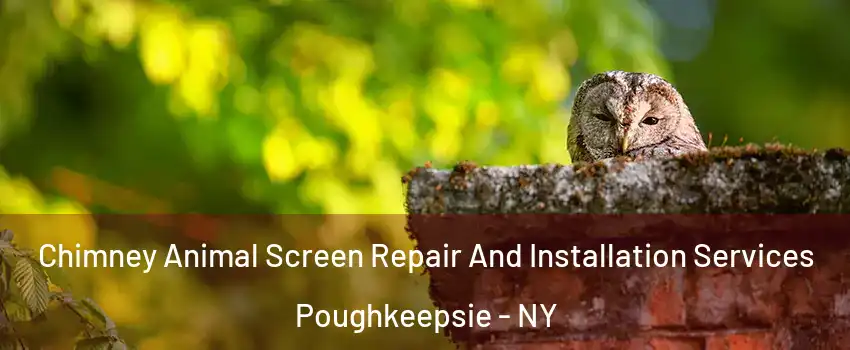  Chimney Animal Screen Repair And Installation Services Poughkeepsie - NY
