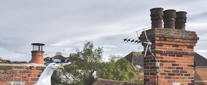Chimney Cleaning And Restoration in Poughkeepsie, New York