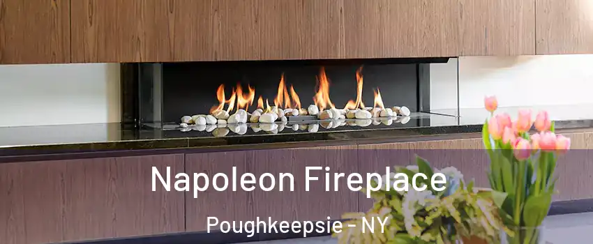  Napoleon Fireplace Poughkeepsie - NY